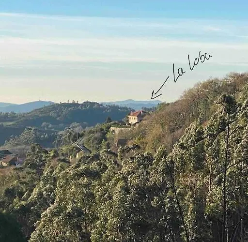 別荘 La Loba - Un Pequeno Paraiso A Tu Alcance Fornelos de Montes